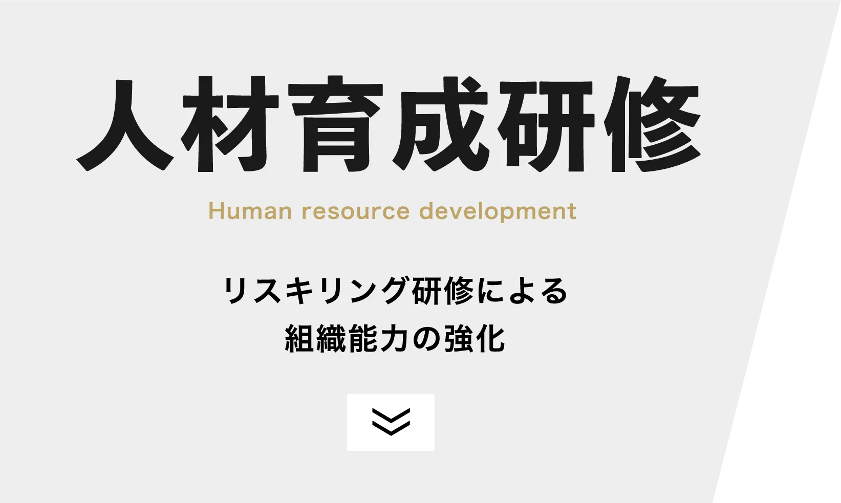 人材育成研修・リスキリング研修による組織能力の強化