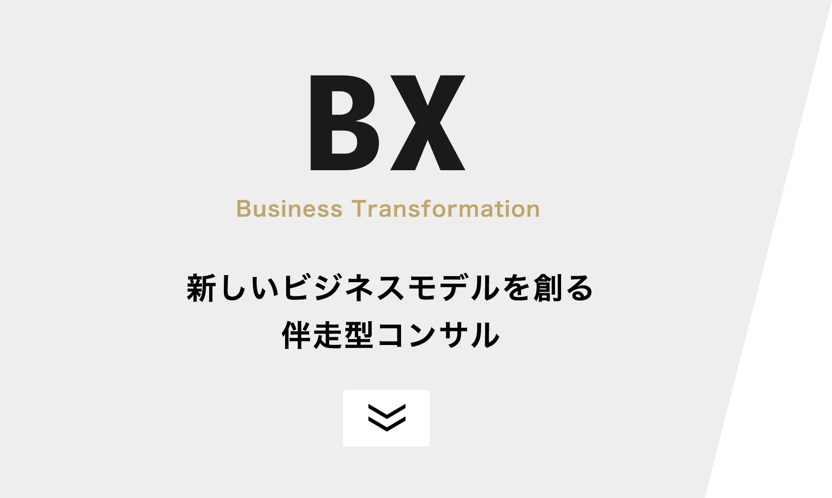BX・新しいビジネスモデルを創る伴走型コンサル