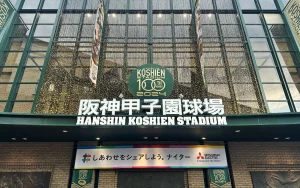 甲子園100周年_阪神vs巨人TUBEライブ