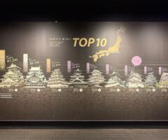 小田原城で知る名古屋城の天守閣の高さ第2位