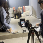 撮トレ事例犬カフェ様