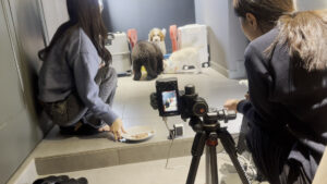 撮トレ事例犬カフェ様